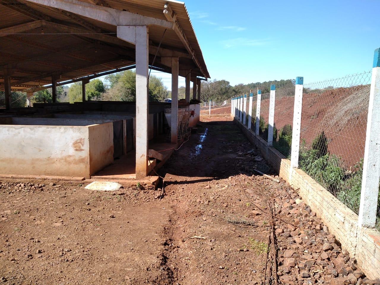 Fazenda para alugar com 3 quartos, 20000m² - Foto 6