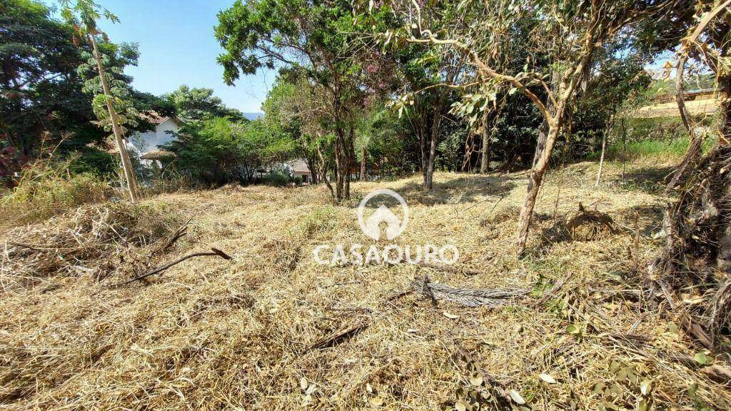 Loteamento e Condomínio à venda, 765M2 - Foto 6