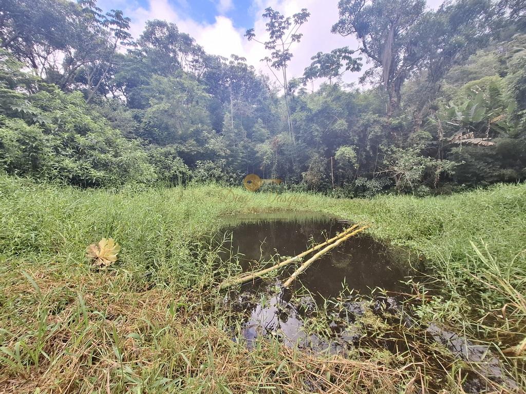 Sítio à venda com 5 quartos, 96800m² - Foto 43
