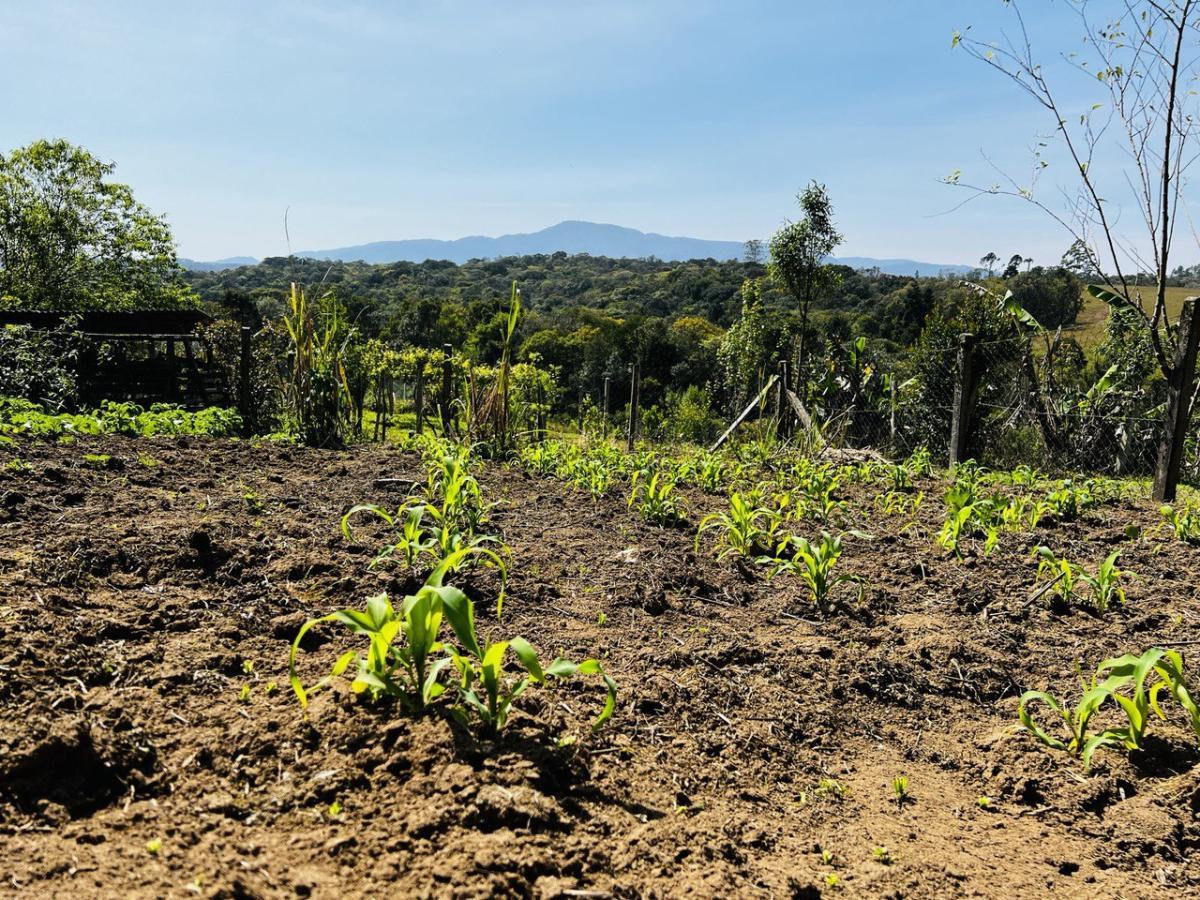 Fazenda à venda, 6300m² - Foto 21