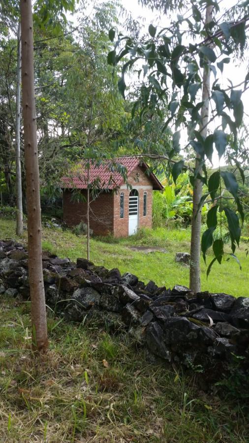 Fazenda à venda com 2 quartos, 3m² - Foto 8