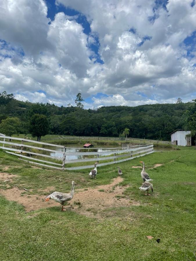 Fazenda à venda com 4 quartos, 130000m² - Foto 39