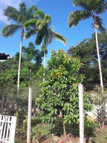 Chácara, 5 quartos, 1260 m² - Foto 14