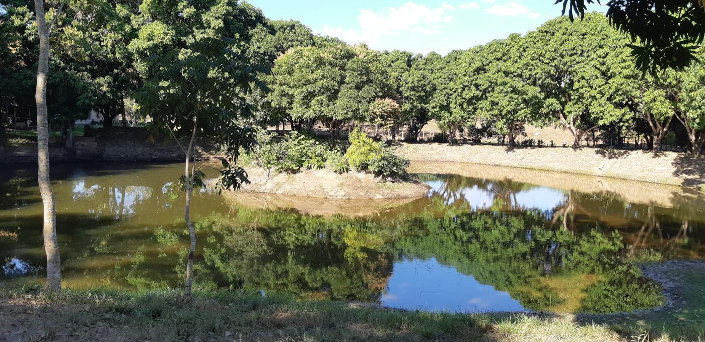 Chácara à venda com 3 quartos, 30000m² - Foto 31