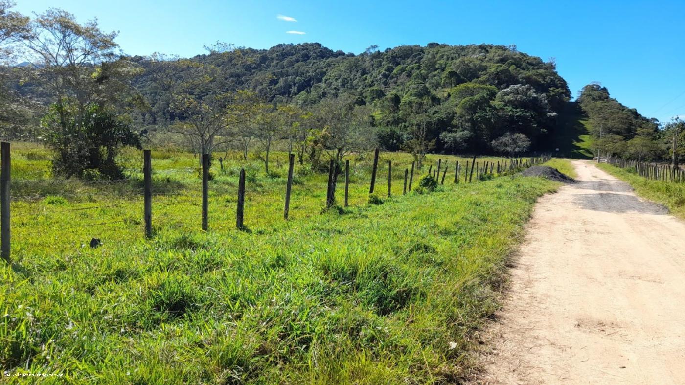 Fazenda-Sítio-Chácara, 10 hectares - Foto 4