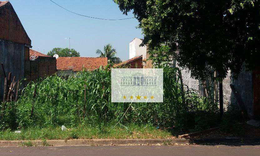 Terreno à venda, 257M2 - Foto 1