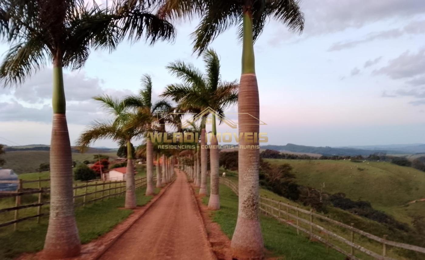 Fazenda à venda, 1200m² - Foto 2