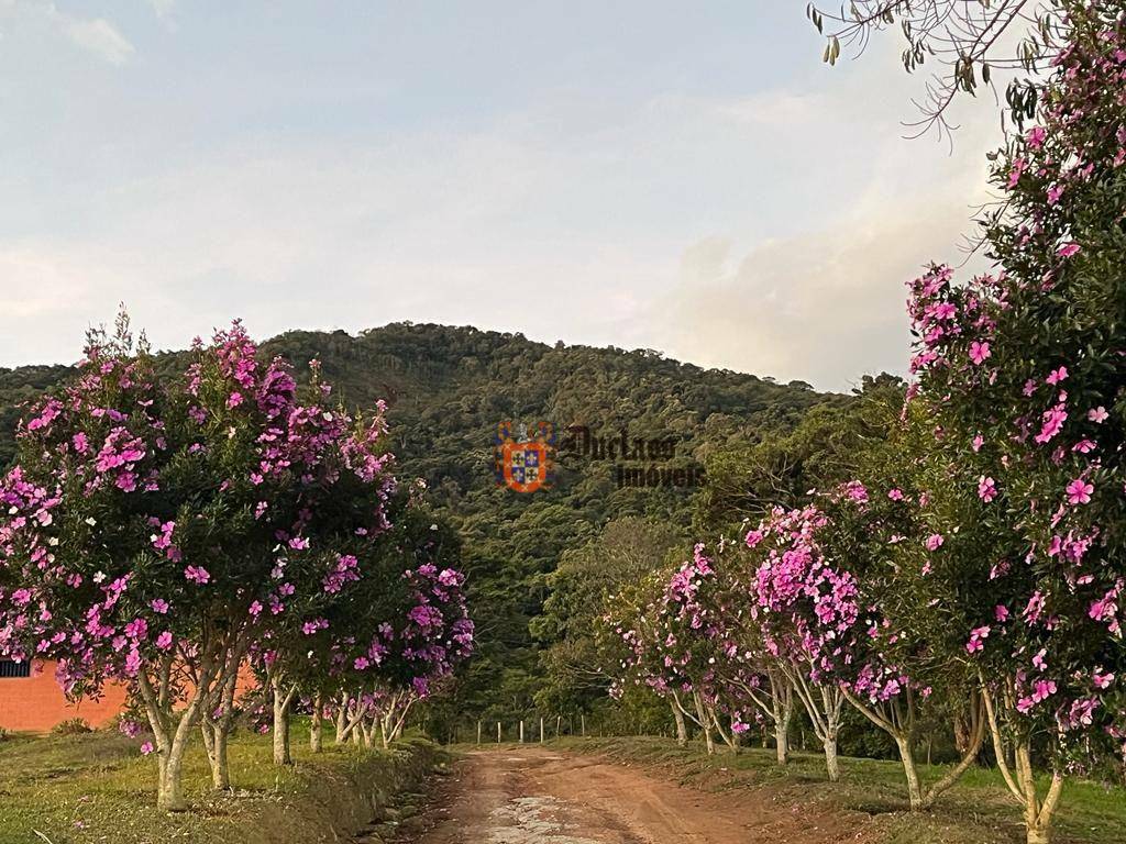 Fazenda à venda com 5 quartos, 690217M2 - Foto 28