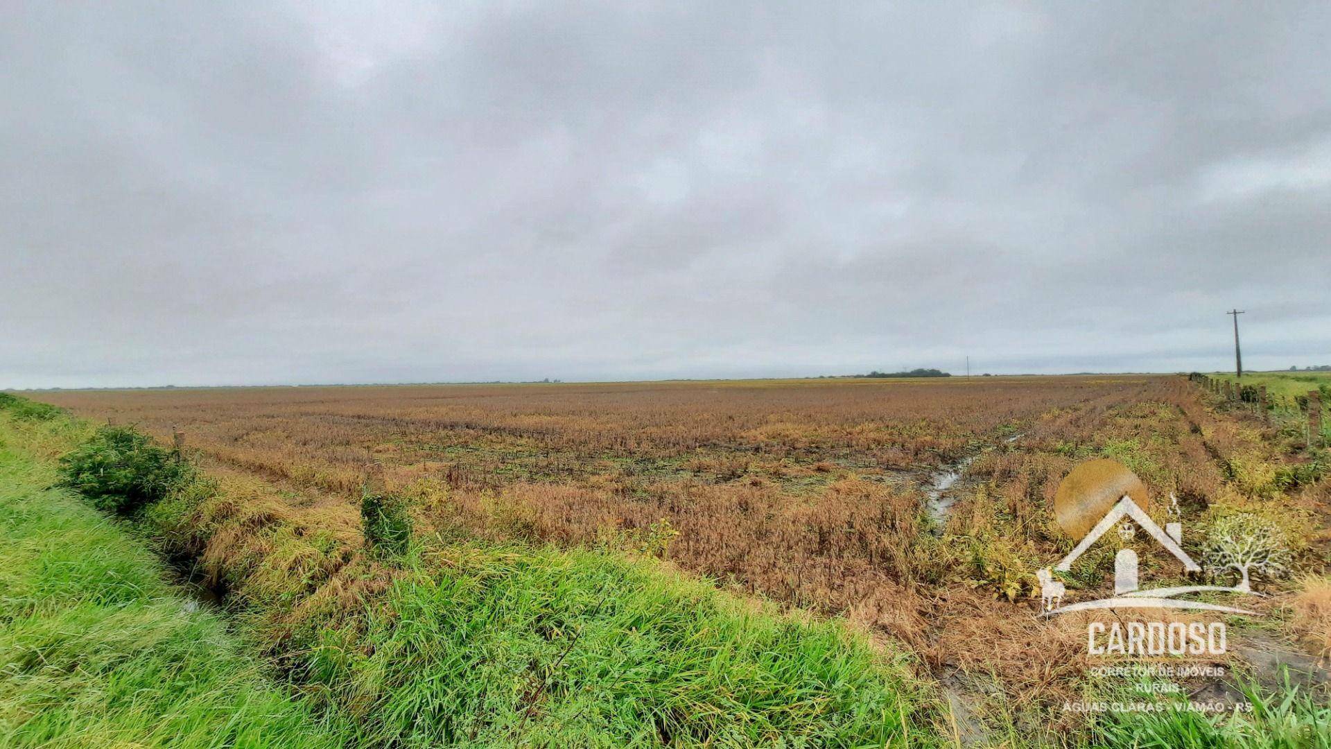 Fazenda à venda, 1830000M2 - Foto 4