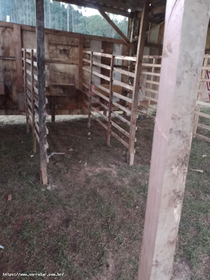 Sítio à venda com 3 quartos, 1m² - Foto 6