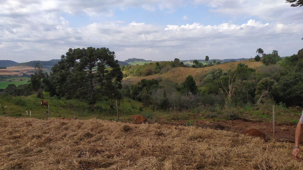 Fazenda à venda, 60m² - Foto 18