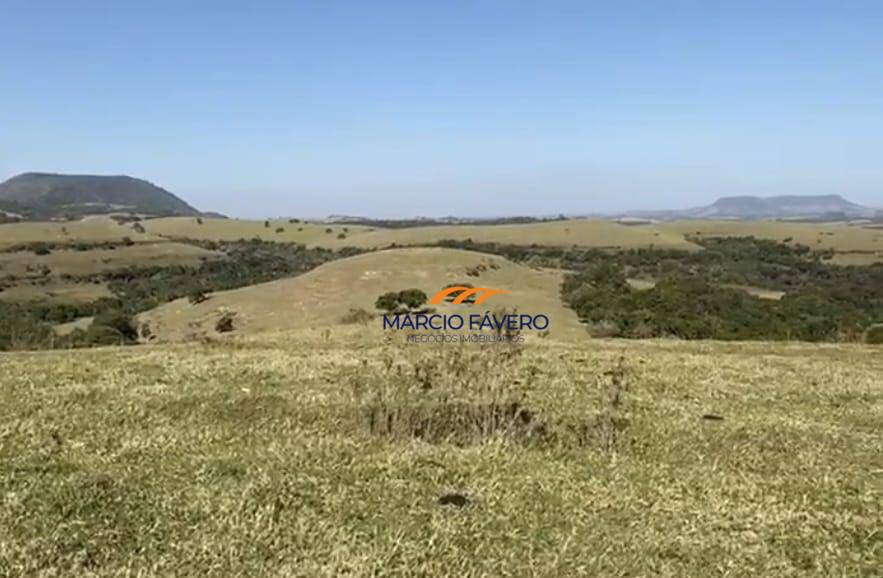 Fazenda, 111 hectares - Foto 6