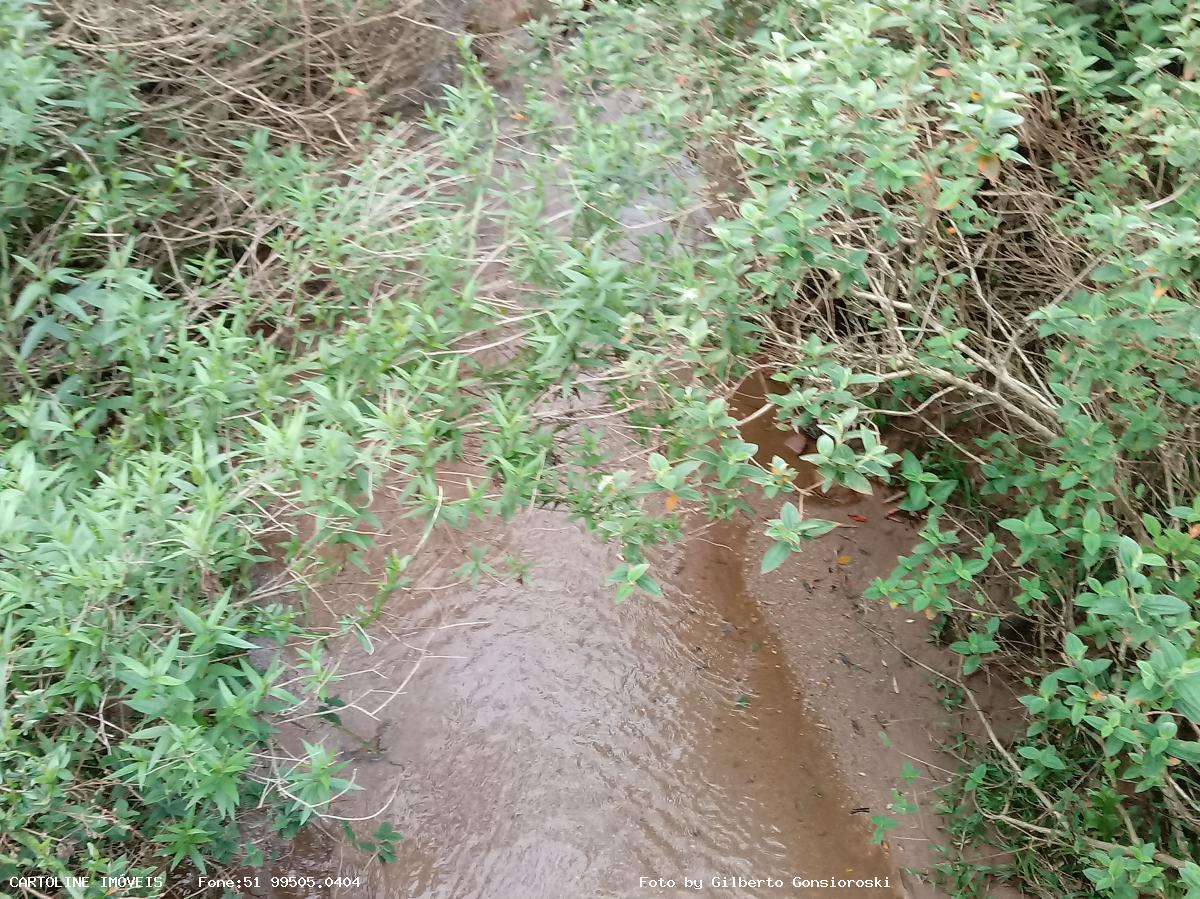 Fazenda à venda com 4 quartos, 160000m² - Foto 9