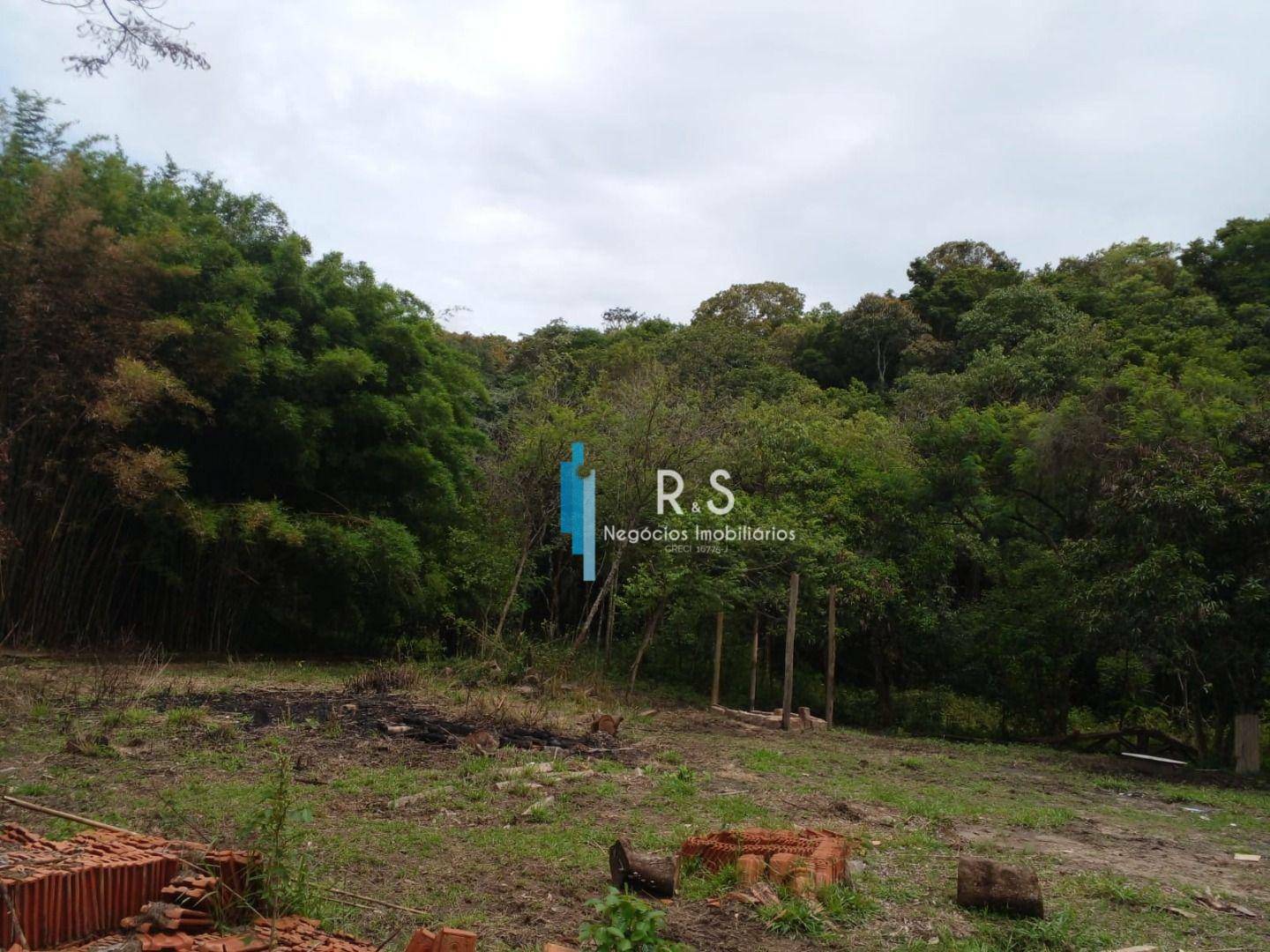 Terreno, 18 hectares - Foto 10