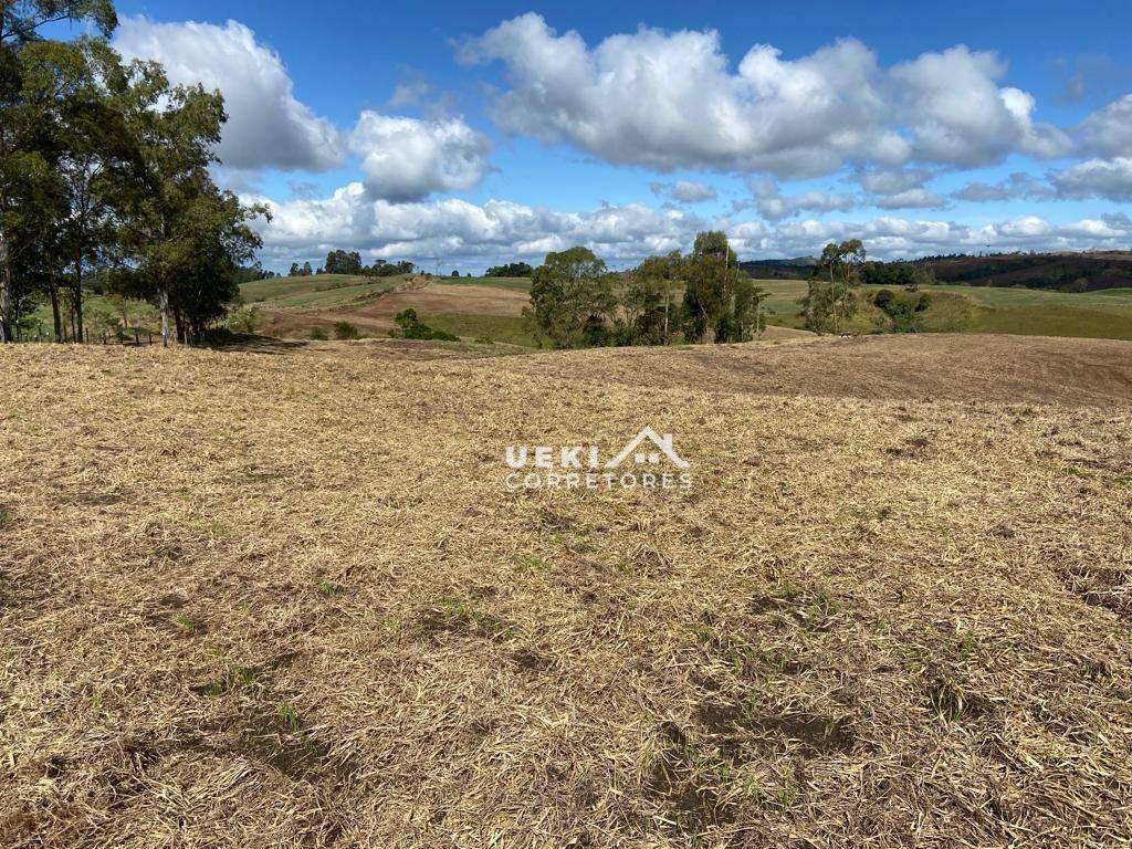 Fazenda à venda, 3267000M2 - Foto 8