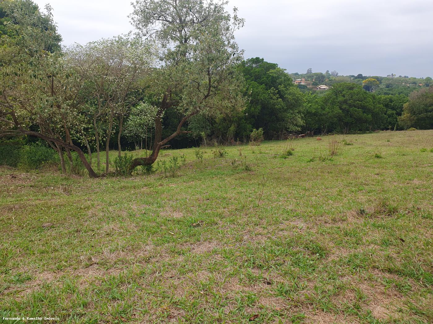 Fazenda à venda com 3 quartos, 80000m² - Foto 28