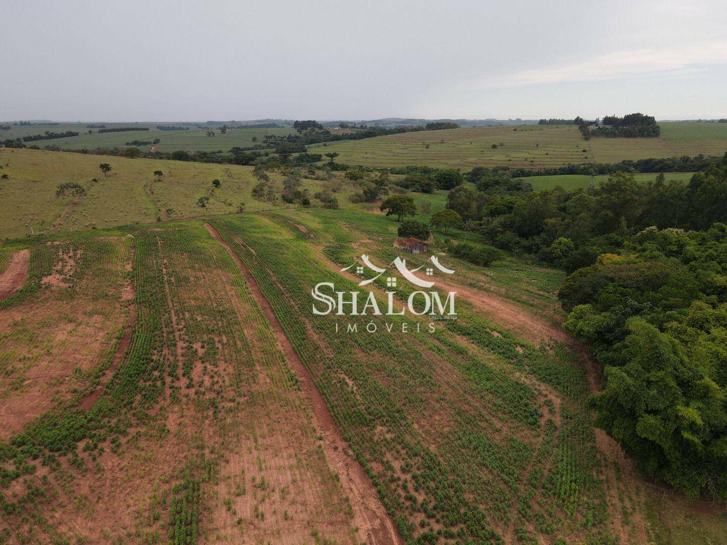 Sítio, 12 hectares - Foto 3