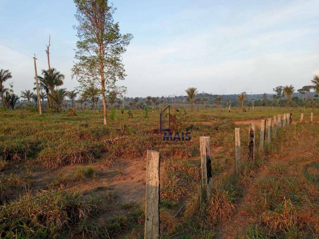 Fazenda-Sítio-Chácara, 600 hectares - Foto 2