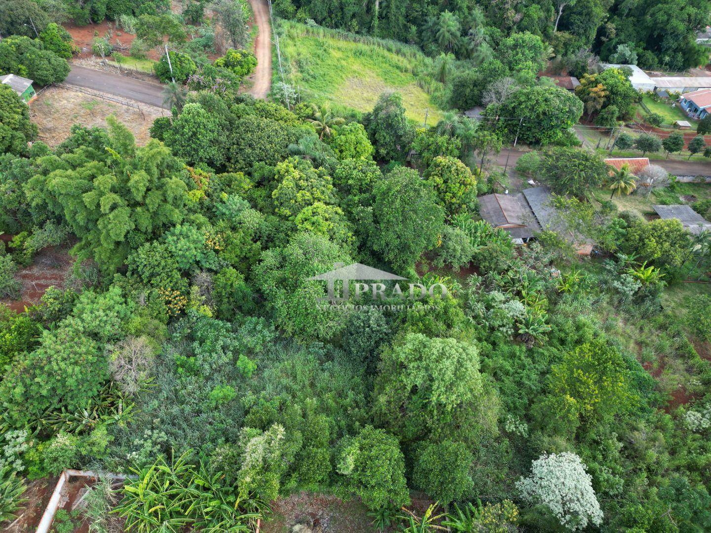 Chácara à venda, 1m² - Foto 11
