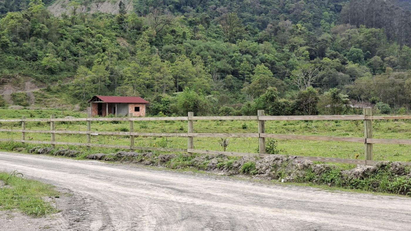 Fazenda à venda com 1 quarto, 10000m² - Foto 14