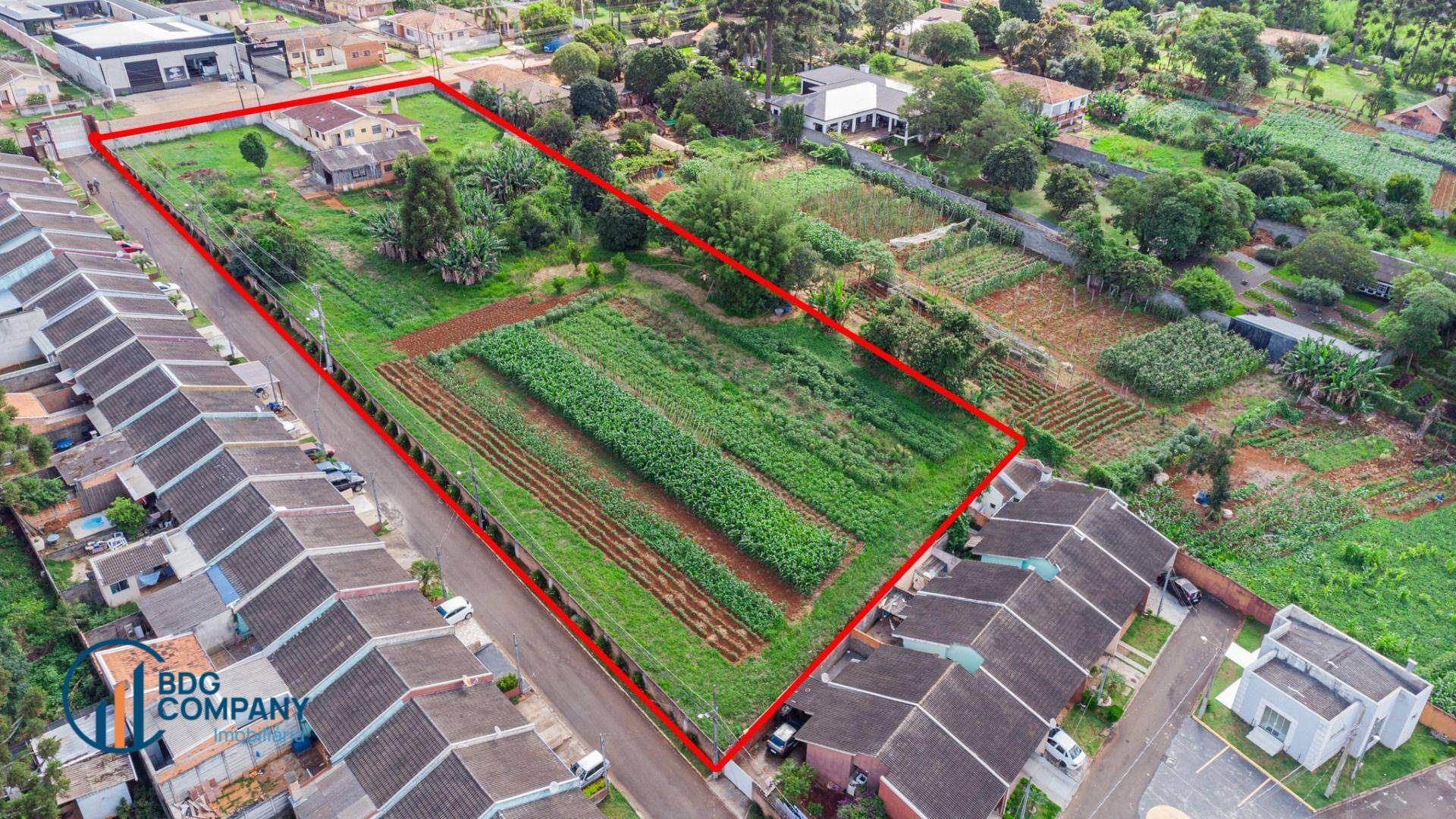 Terreno, 6264 m² - Foto 11