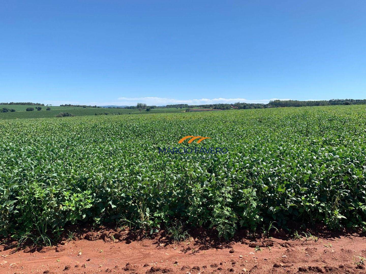 Fazenda à venda, 2565200M2 - Foto 3