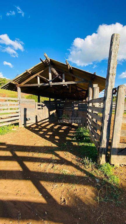 Fazenda, 286 hectares - Foto 11