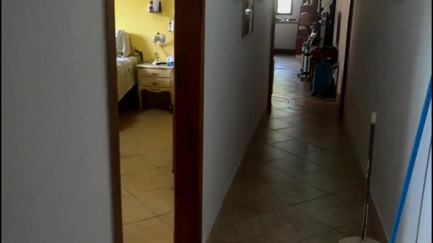 Chácara à venda com 3 quartos, 4500m² - Foto 20
