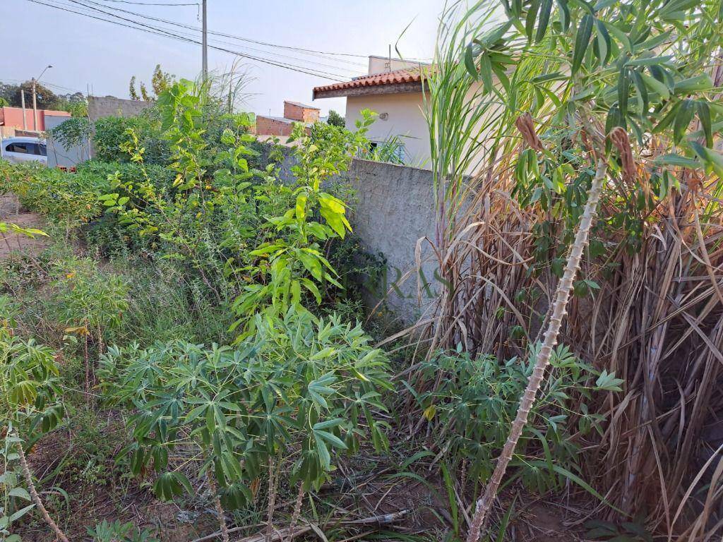 Loteamento e Condomínio à venda, 200M2 - Foto 14