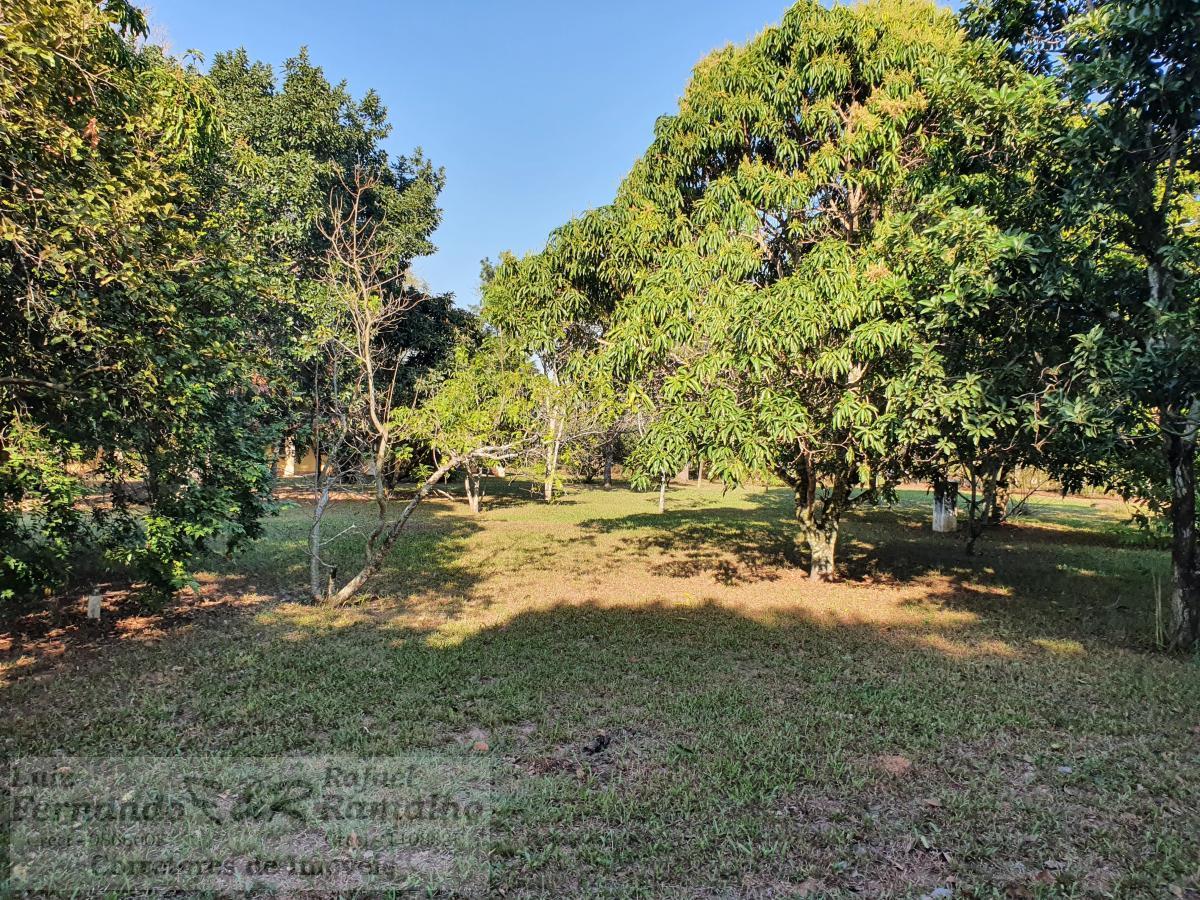 Chácara à venda com 4 quartos, 5600m² - Foto 57