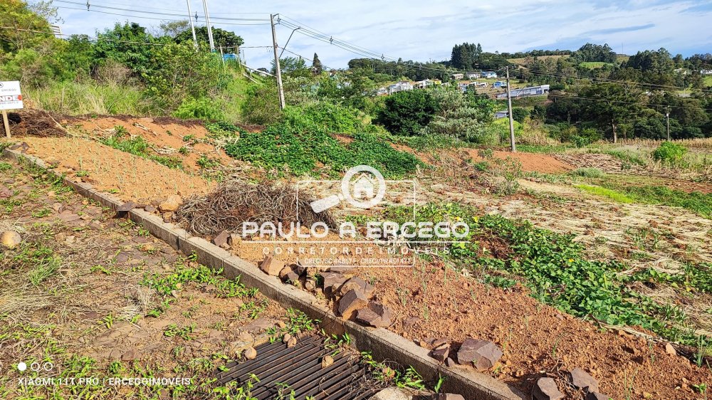 Terreno à venda, 360m² - Foto 3