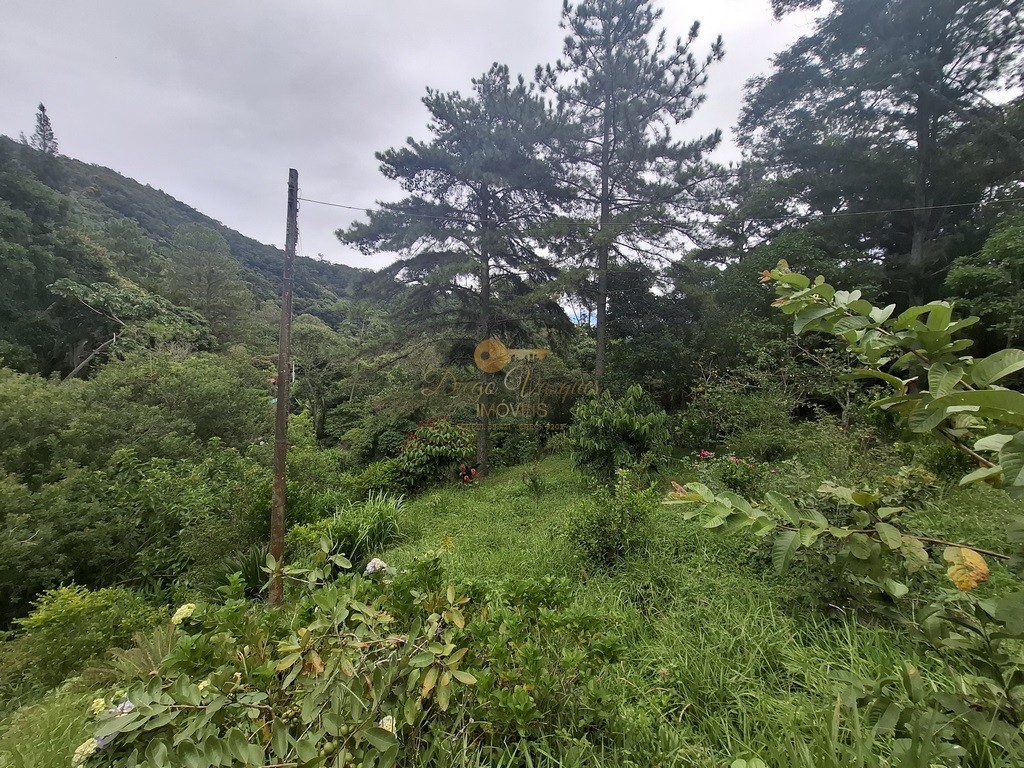 Terreno à venda, 216036m² - Foto 4