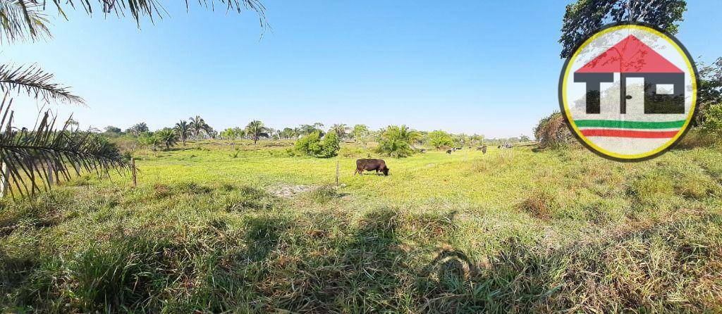 Fazenda à venda, 3388000M2 - Foto 9