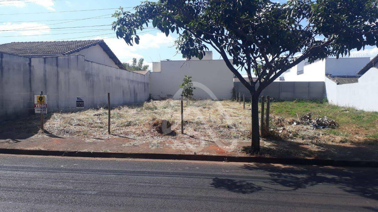 Terreno à venda, 250M2 - Foto 2