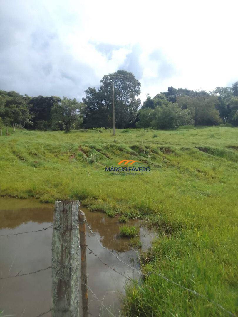 Fazenda, 102 hectares - Foto 13