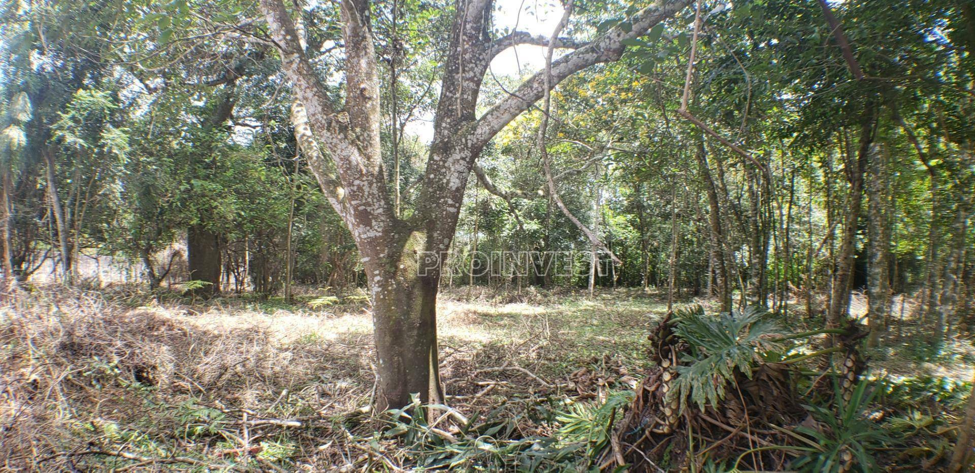 Loteamento e Condomínio à venda, 1000M2 - Foto 3