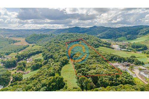 Terreno, 5 hectares - Foto 1