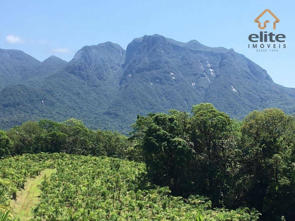 Fazenda à venda com 5 quartos, 4822600M2 - Foto 3