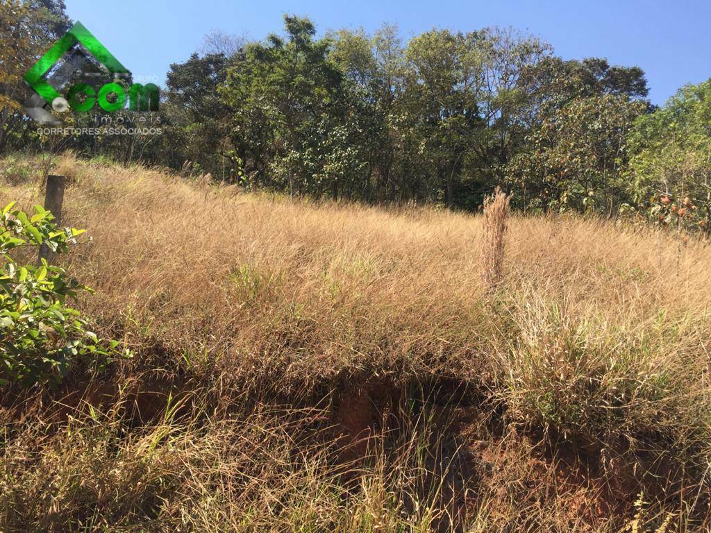 Loteamento e Condomínio à venda, 3600M2 - Foto 7