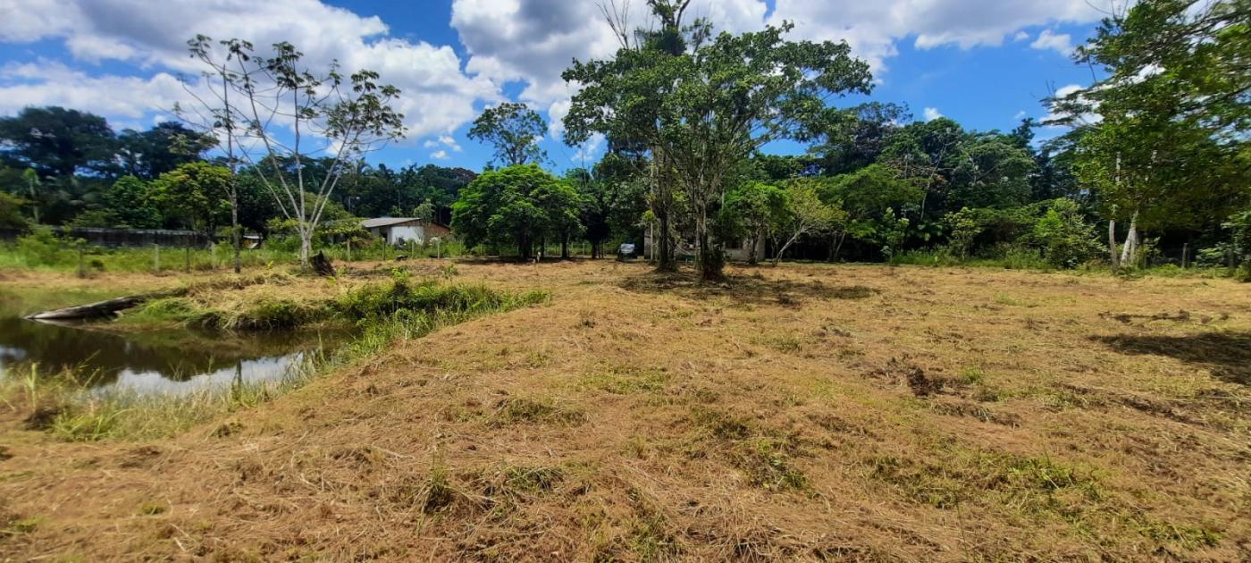 Fazenda à venda com 2 quartos, 3500m² - Foto 16