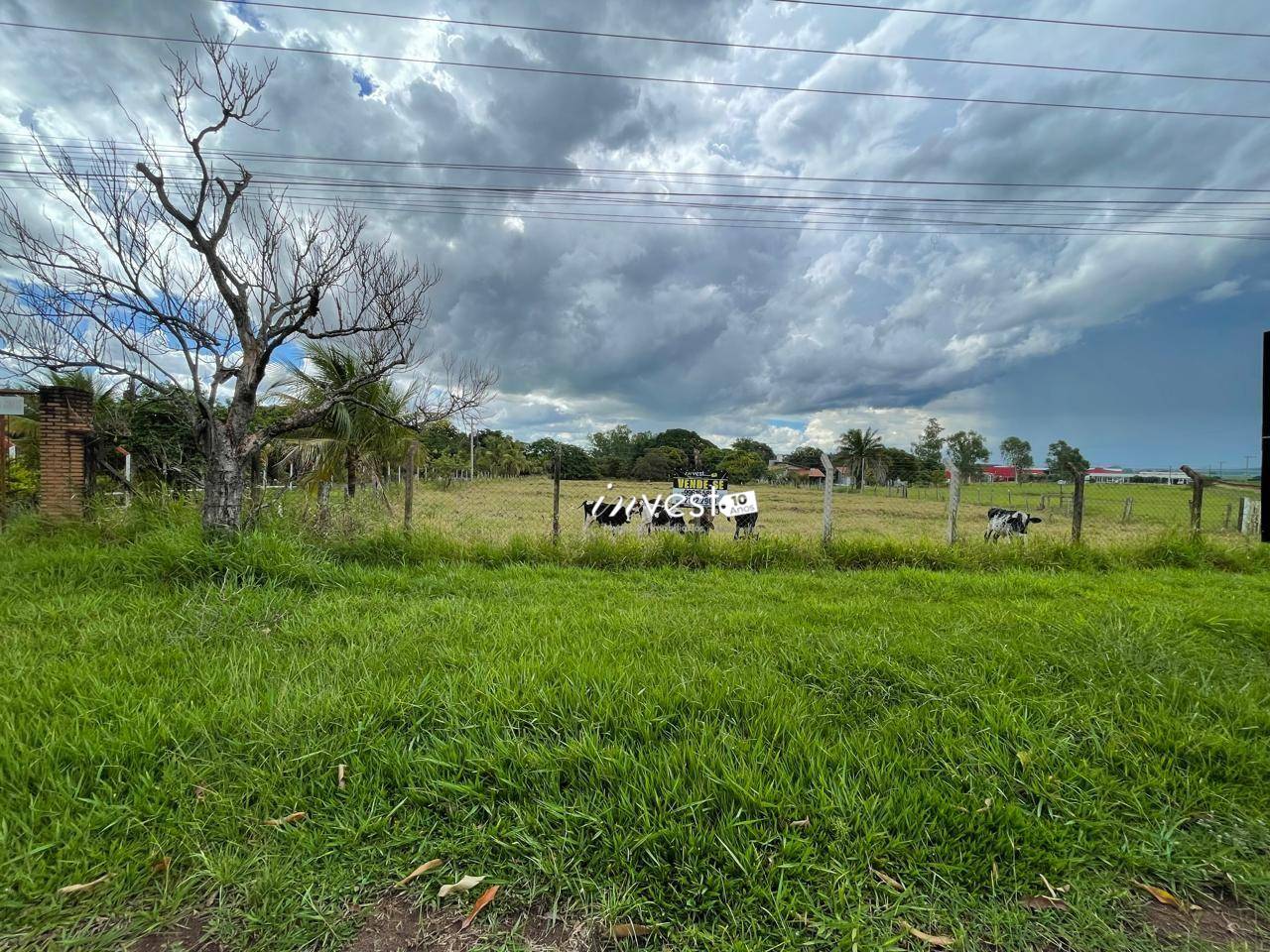 Sítio, 3 quartos, 3 hectares - Foto 1