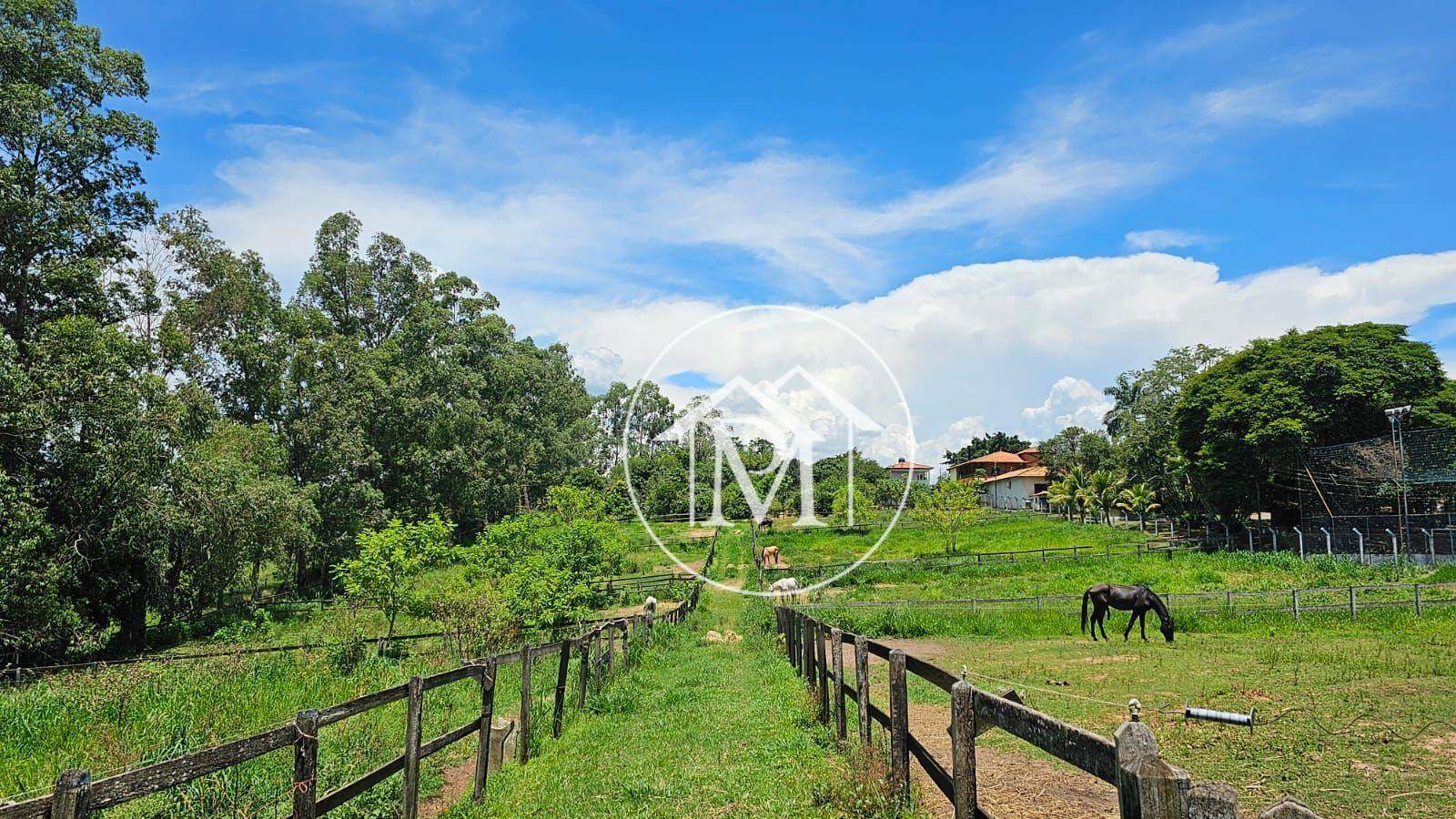 Haras e Área Rural Padrão à venda com 7 quartos, 242000m² - Foto 12