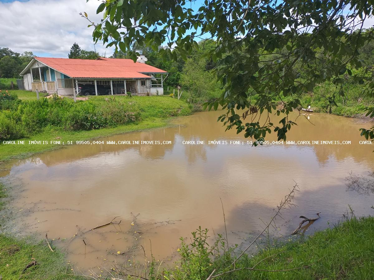 Fazenda à venda com 3 quartos, 29000m² - Foto 3