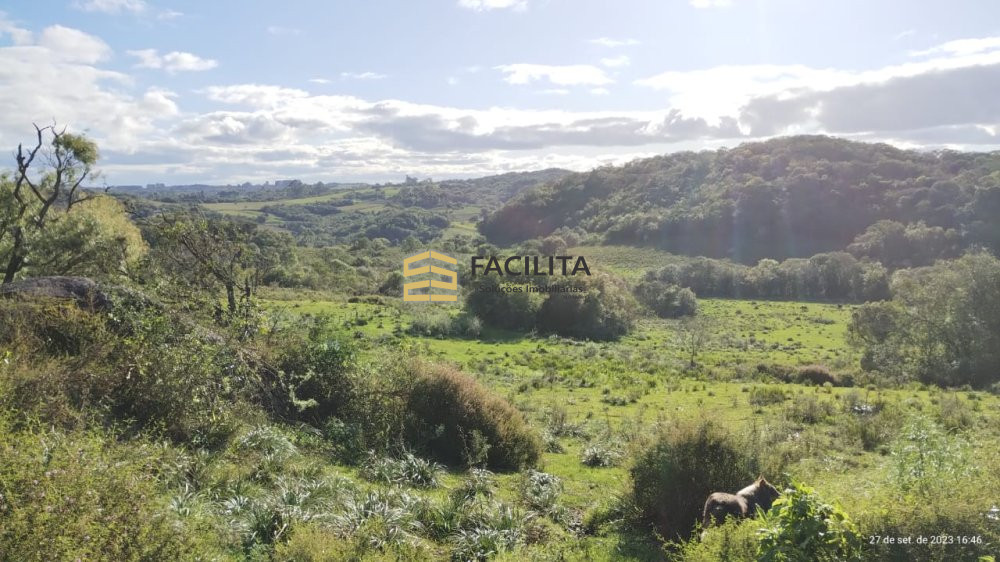 Fazenda-Sítio-Chácara, 64 hectares - Foto 2