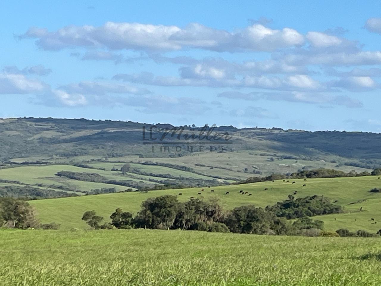 Fazenda à venda, 900m² - Foto 13