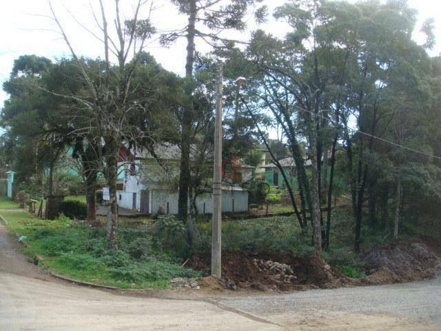 Terreno à venda, 636M2 - Foto 3