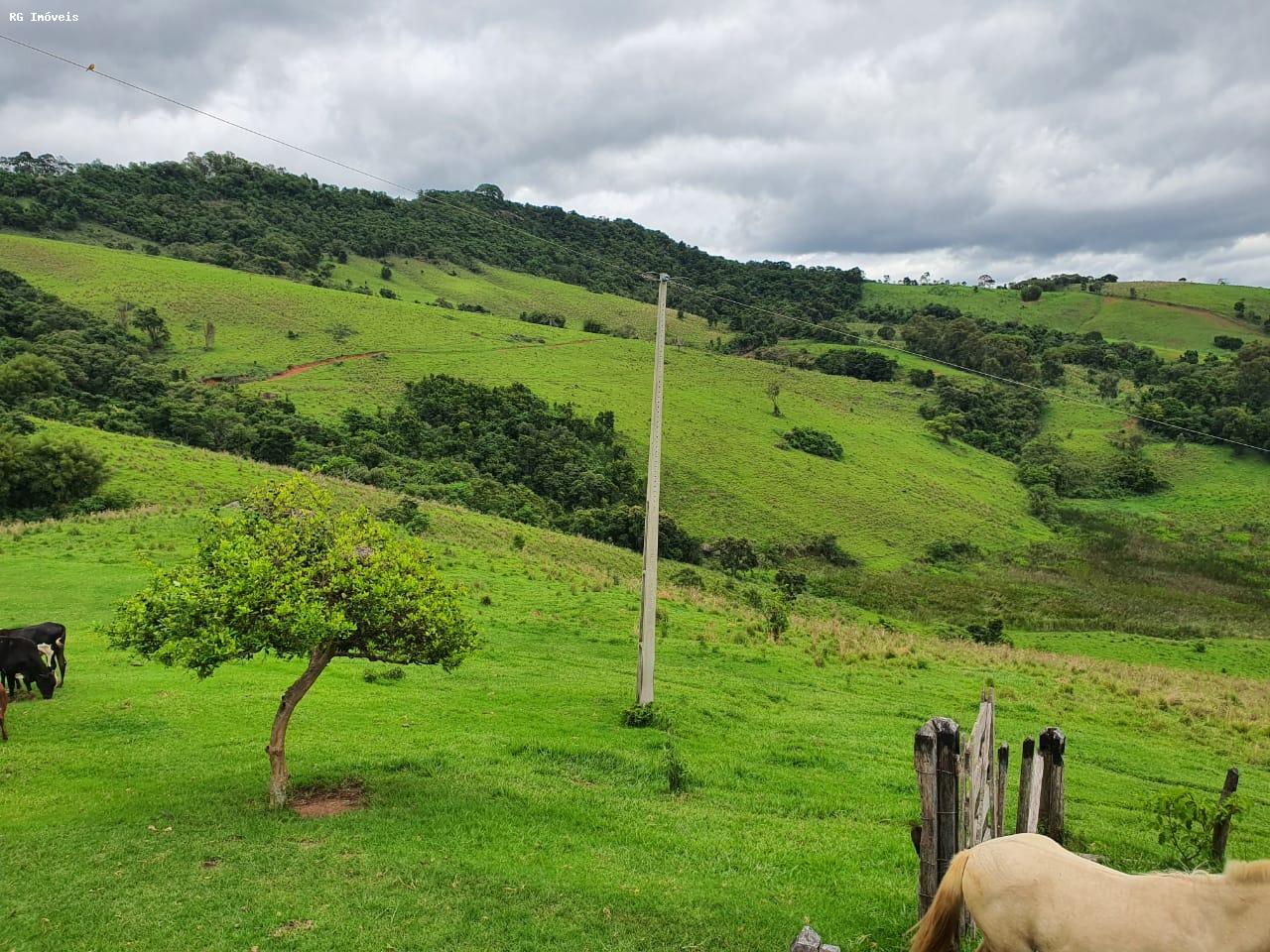 Fazenda à venda com 2 quartos, 220m² - Foto 34