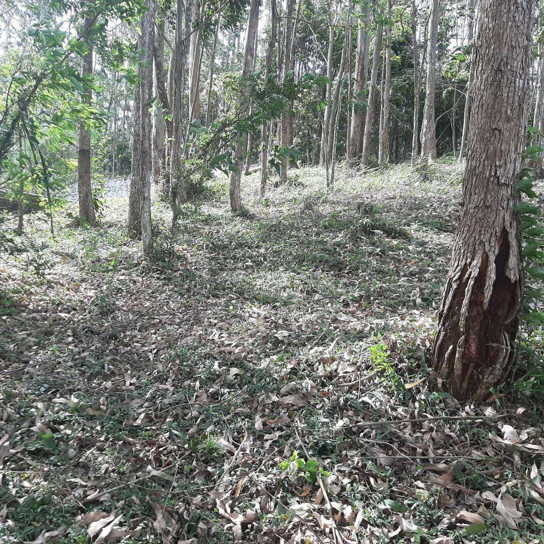 Loteamento e Condomínio à venda, 800M2 - Foto 15