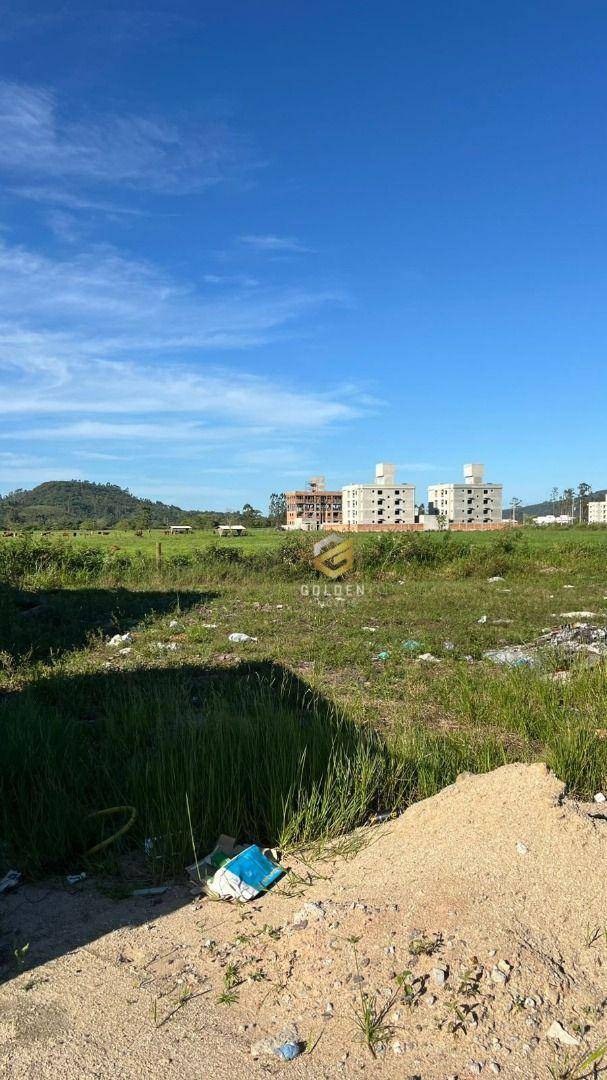 Terreno, 250 m² - Foto 2