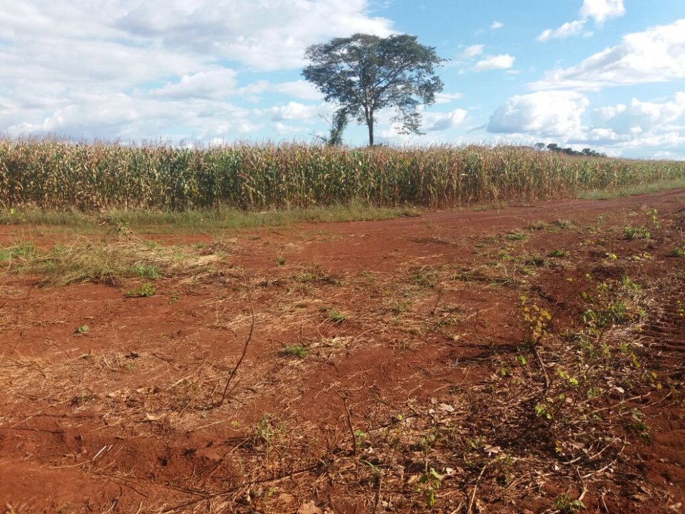 Fazenda à venda, 57000m² - Foto 5